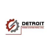 Logo Detroit Power System