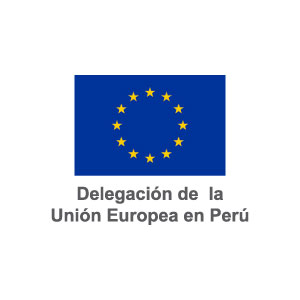 delegacion-UE-logo.png